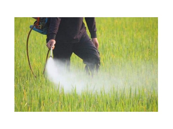 什么是納米農(nóng)藥呢？用砂磨機(jī)制備